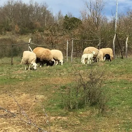 Séjour à la ferme Casa De Onor