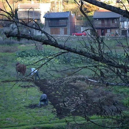 Séjour à la ferme Casa De Onor *