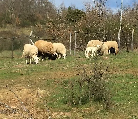 Alloggio per agriturismo Casa De Onor