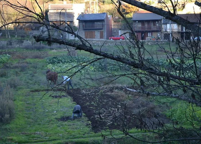 Alloggio per agriturismo Casa De Onor *